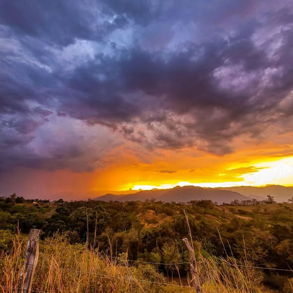 Talleres de Artesanos