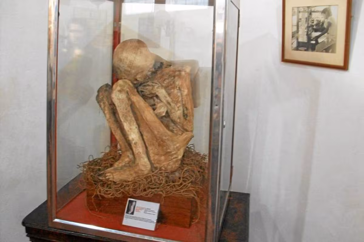 Guane Colonial - Imagen 2